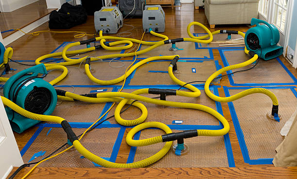 Professional Structural Drying And Dehumidification technician working in Hempstead, TX